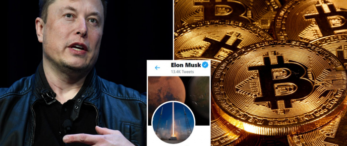 Crypto: The CEO of Bankrupt Celsius Requests Help from Elon Musk