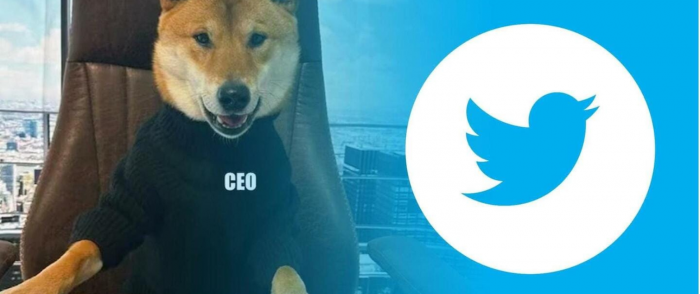 DOGE Rallies In Blockchain Twitter As Elon Musk Changed Bird to Dogecoin Logo.