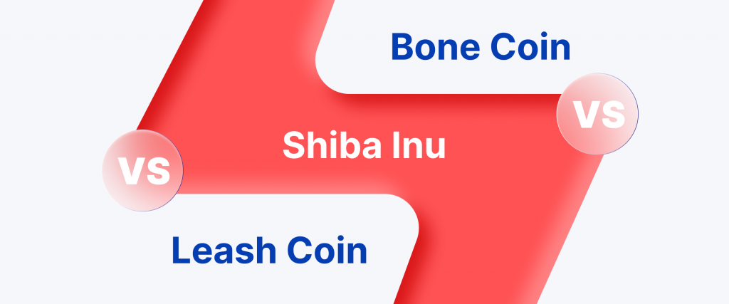 What Is a Shibarium? Revolution of The Shiba Inu Ecosystem