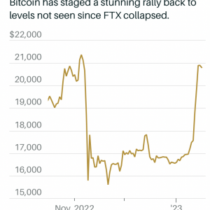 Bitcoin Rallies to Heights Unseen Since FTX's Drama. What to Expect Next?