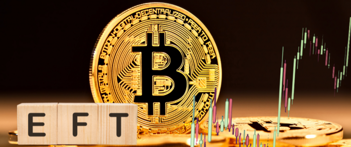 The Future of Bitcoin Spot ETF: SEC's Decision Is Up in the Air.