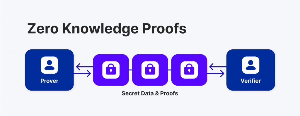 Types of Zero Knowledge Proofs