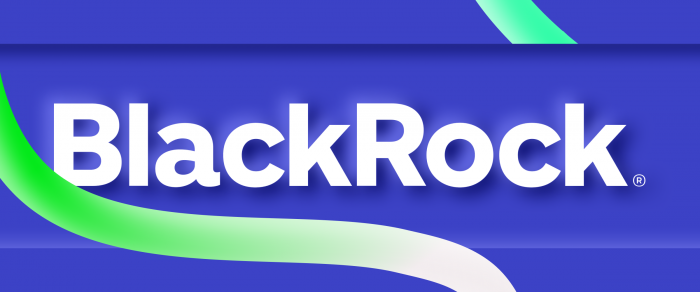 BlackRock ETF: BlackRock is Becoming The Largest Bitcoin Holder