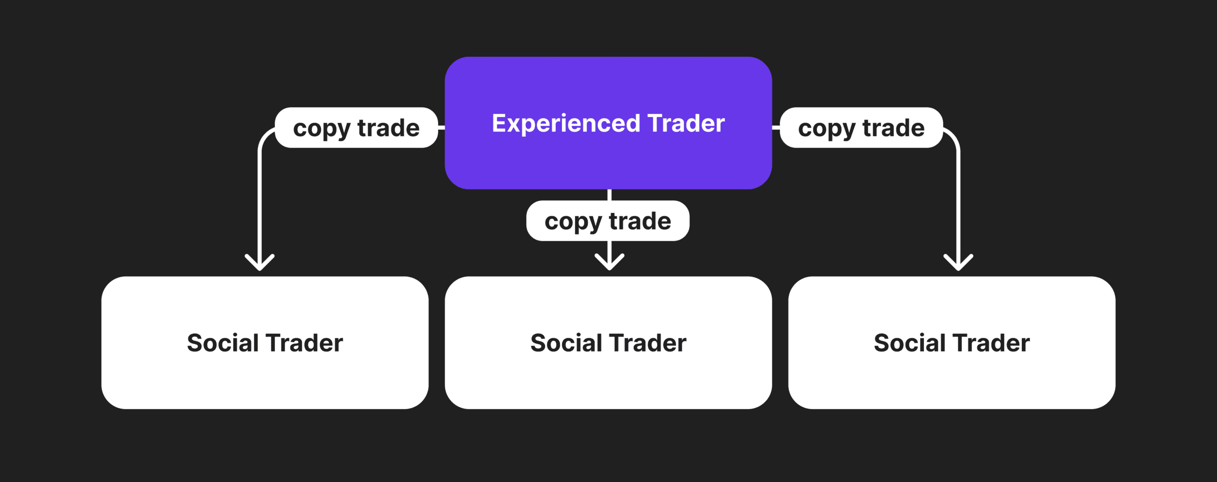 Die 10 besten Copy-Trading-Plattformen im Jahr 2024