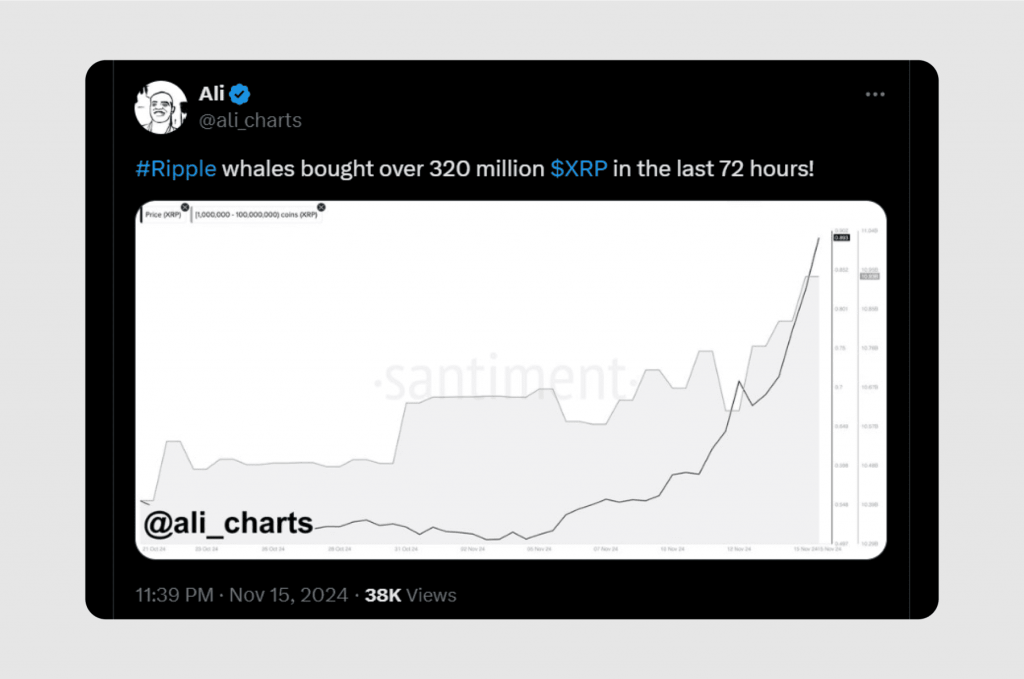 XRP whale activity