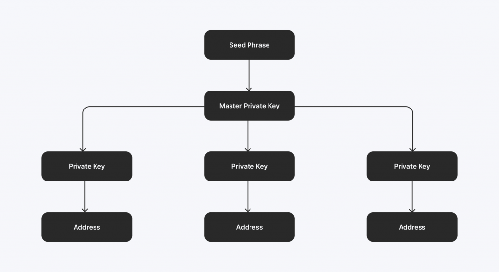 seed phrase creation process