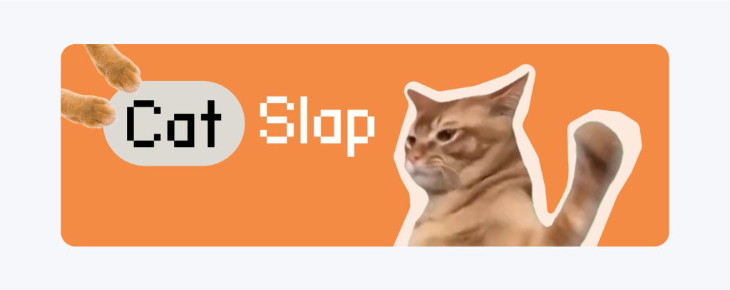 Catslap coin