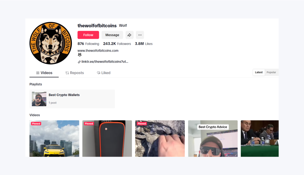 The Wolf of Bitcoins TikTok account