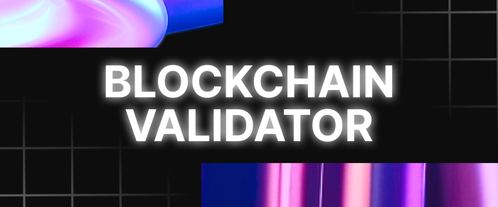 What is Blockchain Validator
