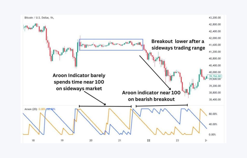 the example of rend-following oscillator