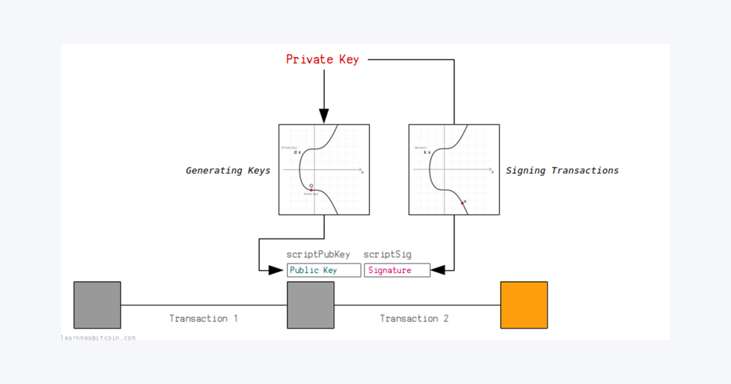 simple scheme of Elliptic Curve Digital Signature Algorithm flow