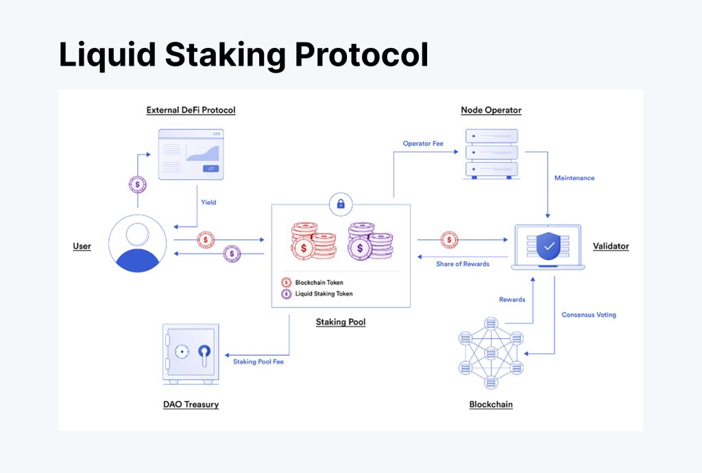 the concept of Liquid staking protocol working